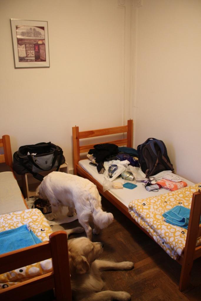 náš luxusní obří apartmá.jpg