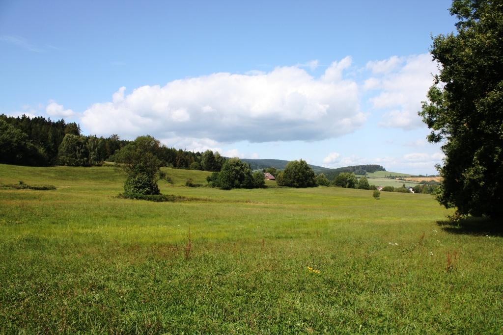 29.8.2009 náderné prostředí.jpg