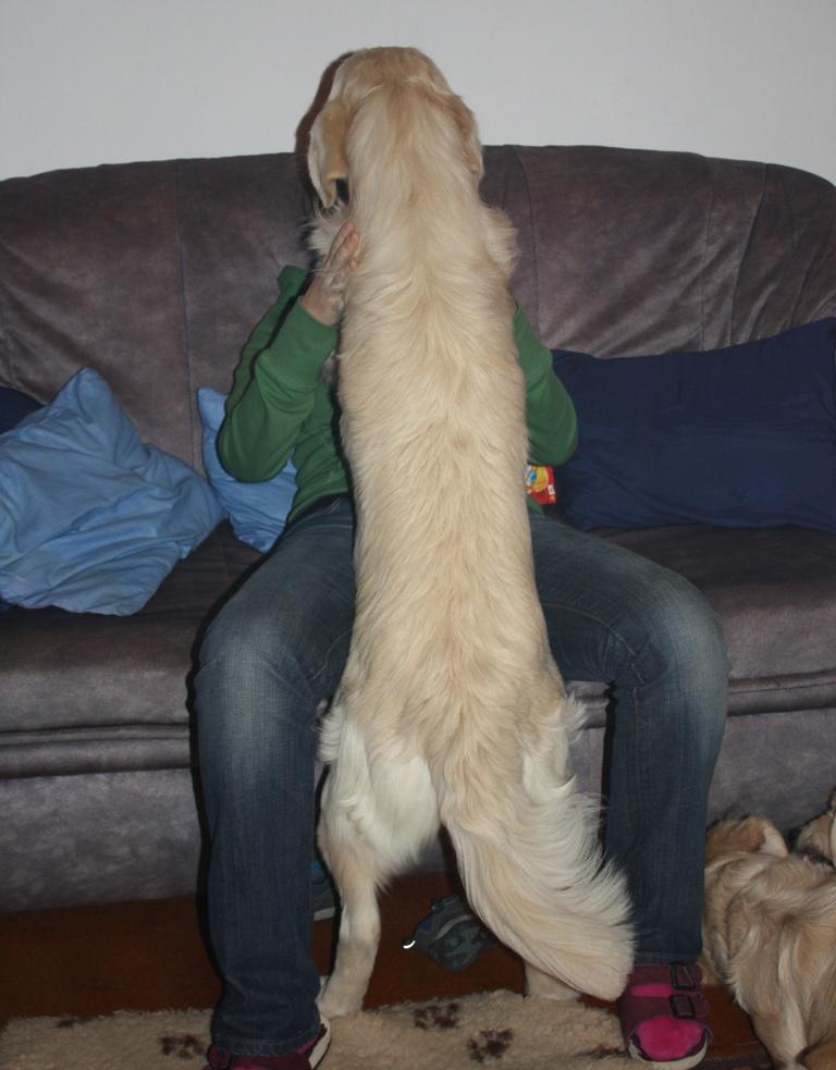 mazlící se Olda.jpg