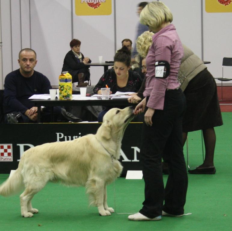 20.11.2009 Záhřeb - třída šampionů.jpg